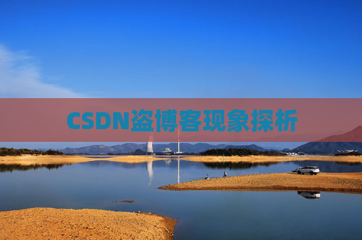CSDN盗博客现象探析